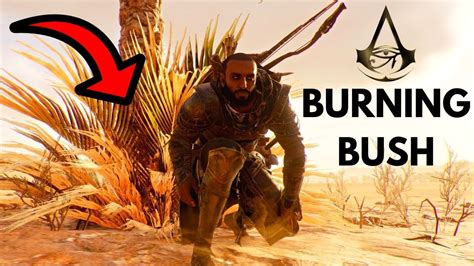 burning bush assassin's creed origins.